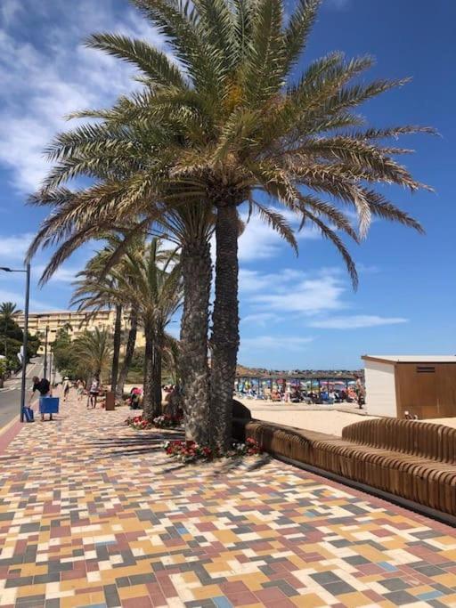 Apartamento Casa Andres. Two Bed Penthouse Pool & Terrace Alicante